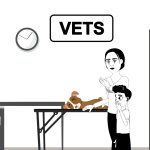 The Vets